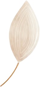 a white flower with a brown stem.jpg